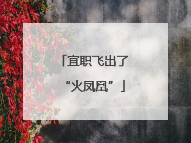 宜职飞出了“火凤凰”