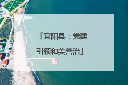 宜阳县：党建引领和美善治