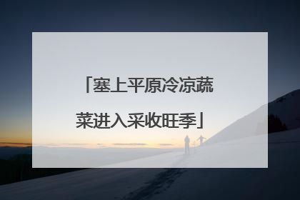 塞上平原冷凉蔬菜进入采收旺季