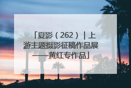 夏影（262）｜上游主题摄影征稿作品展——黄红专作品