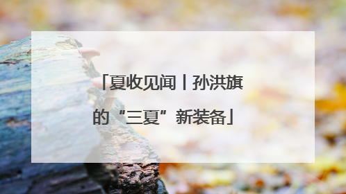 夏收见闻丨孙洪旗的“三夏”新装备