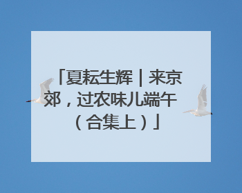 夏耘生辉｜来京郊，过农味儿端午（合集上）