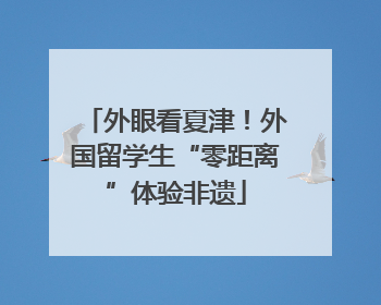 外眼看夏津！外国留学生“零距离”体验非遗