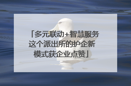 多元联动+智慧服务 这个派出所的护企新模式获企业点赞