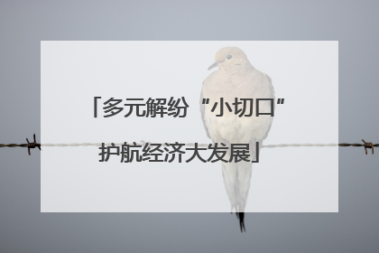 多元解纷“小切口” 护航经济大发展