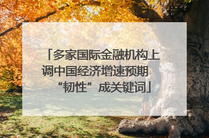 多家国际金融机构上调中国经济增速预期 “韧性”成关键词