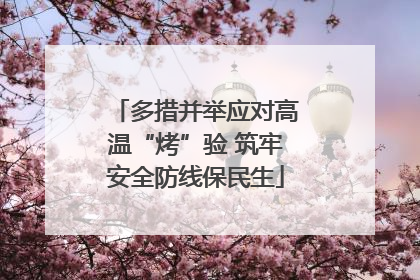 多措并举应对高温“烤”验 筑牢安全防线保民生