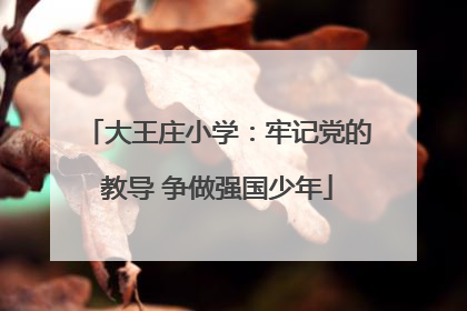 大王庄小学：牢记党的教导 争做强国少年