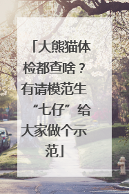 大熊猫体检都查啥？有请模范生“七仔”给大家做个示范