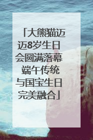 大熊猫迈迈8岁生日会圆满落幕 端午传统与国宝生日完美融合