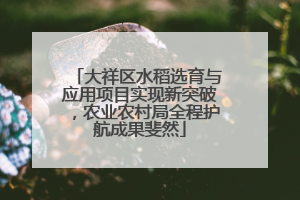 大祥区水稻选育与应用项目实现新突破，农业农村局全程护航成果斐然
