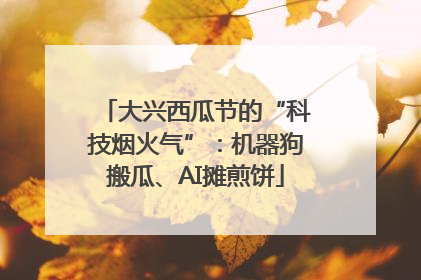 大兴西瓜节的“科技烟火气”：机器狗搬瓜、AI摊煎饼