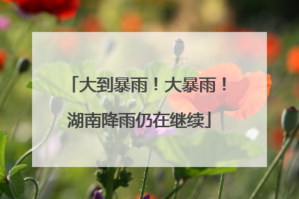 大到暴雨！大暴雨！湖南降雨仍在继续