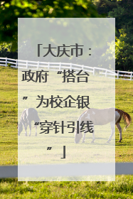大庆市：政府“搭台”为校企银“穿针引线”