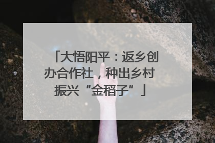 大悟阳平：返乡创办合作社，种出乡村振兴“金稻子”