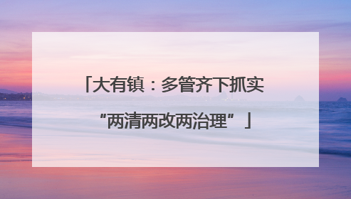 大有镇：多管齐下抓实“两清两改两治理”