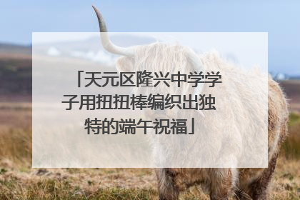 天元区隆兴中学学子用扭扭棒编织出独特的端午祝福