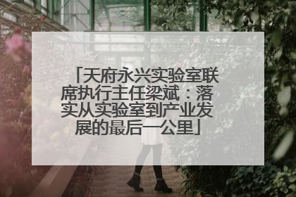 天府永兴实验室联席执行主任梁斌：落实从实验室到产业发展的最后一公里