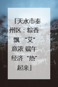天水市秦州区：粽香飘 “艾”意浓 端午经济“热”起来