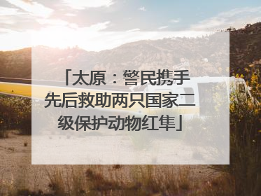 太原：警民携手 先后救助两只国家二级保护动物红隼