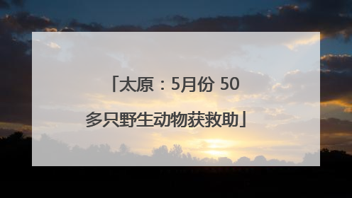 太原：5月份 50多只野生动物获救助