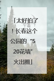 太好拍了！长春这个公园的“520花墙”火出圈