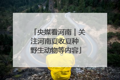 央媒看河南｜关注河南夏收夏种 野生动物等内容