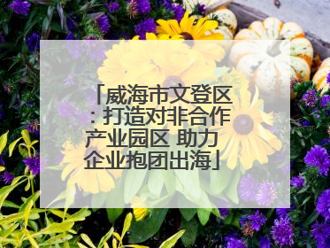 威海市文登区：打造对非合作产业园区 助力企业抱团出海
