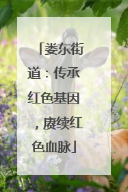 娄东街道：传承红色基因，赓续红色血脉