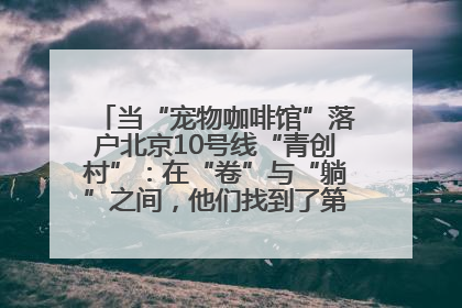 当“宠物咖啡馆”落户北京10号线“青创村”：在“卷”与“躺”之间，他们找到了第三种生活公式