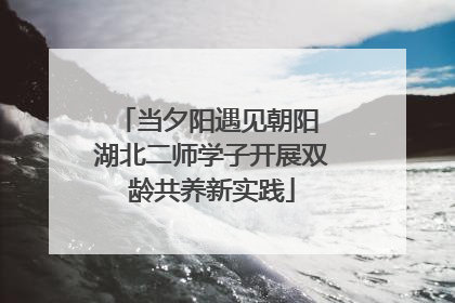 当夕阳遇见朝阳 湖北二师学子开展双龄共养新实践