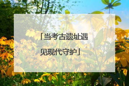 当考古遗址遇见现代守护