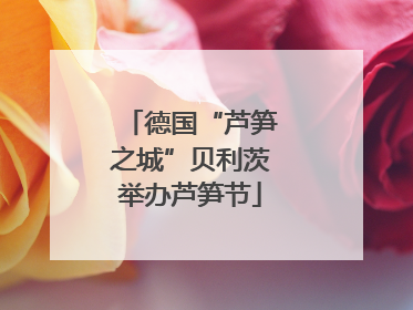 德国“芦笋之城”贝利茨举办芦笋节