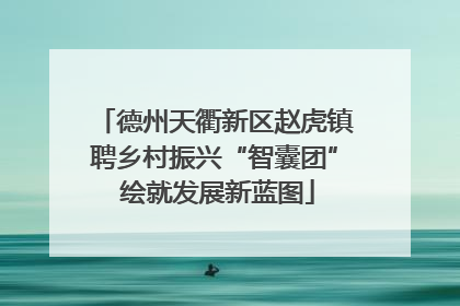 德州天衢新区赵虎镇聘乡村振兴“智囊团” 绘就发展新蓝图