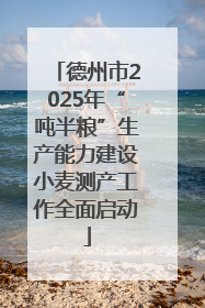 德州市2025年“吨半粮”生产能力建设小麦测产工作全面启动