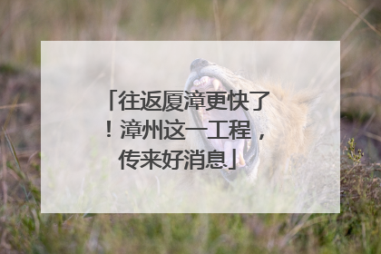 往返厦漳更快了！漳州这一工程，传来好消息