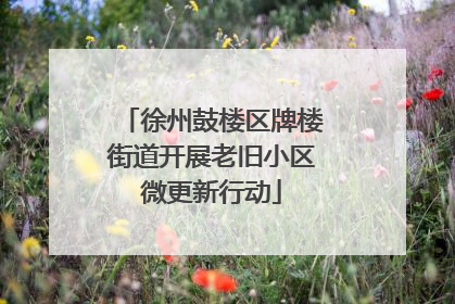 徐州鼓楼区牌楼街道开展老旧小区微更新行动