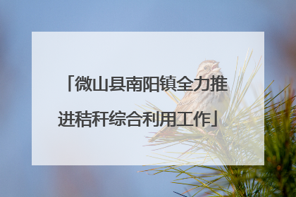微山县南阳镇全力推进秸秆综合利用工作
