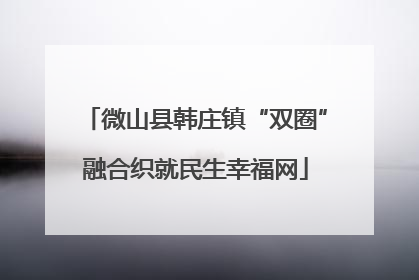 微山县韩庄镇“双圈”融合织就民生幸福网