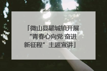 微山县驩城镇开展“青春心向党 奋进新征程”主题宣讲