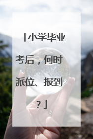 小学毕业考后，何时派位、报到？
