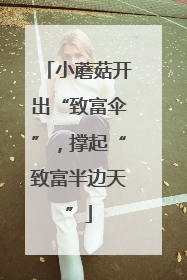 小蘑菇开出“致富伞”，撑起“致富半边天”