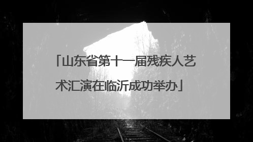 山东省第十一届残疾人艺术汇演在临沂成功举办