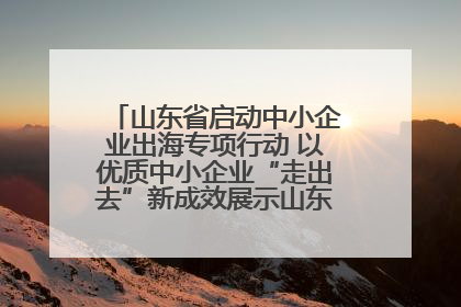 山东省启动中小企业出海专项行动 以优质中小企业“走出去”新成效展示山东产业发展新形象