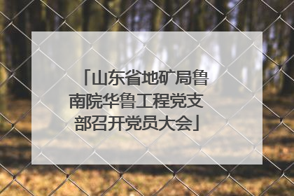 山东省地矿局鲁南院华鲁工程党支部召开党员大会