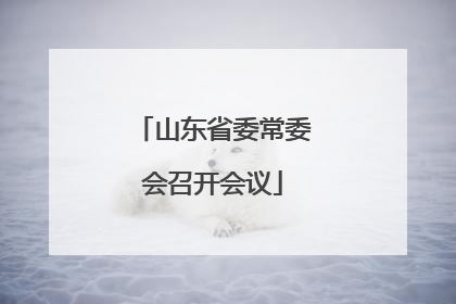 山东省委常委会召开会议