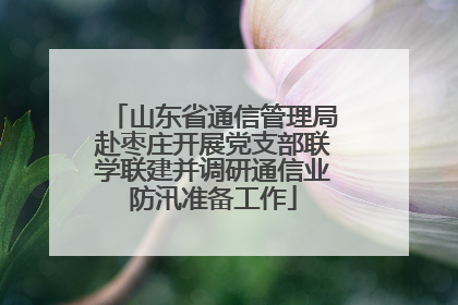 山东省通信管理局赴枣庄开展党支部联学联建并调研通信业防汛准备工作