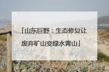 山东巨野:生态修复让废弃矿山变绿水青山