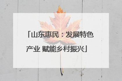 山东惠民：发展特色产业 赋能乡村振兴