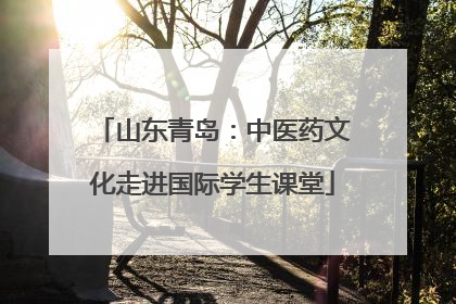 山东青岛：中医药文化走进国际学生课堂